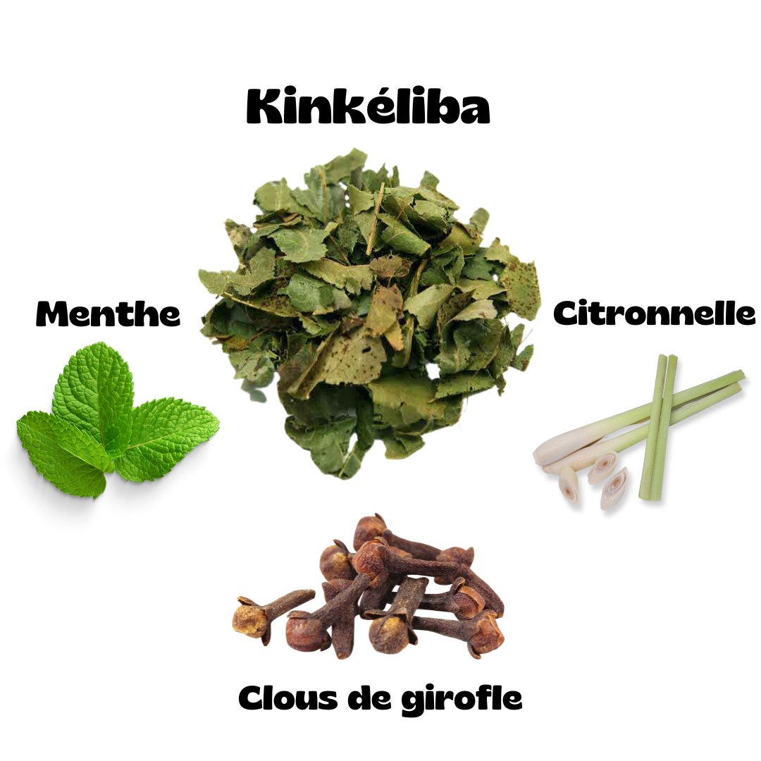 Thé Minceur Bio delightful and revitalizing herbal tea available