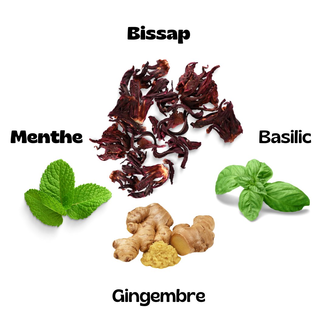 Thé Bissap  Experience the vibrant flavor of Thé Bissap, now available